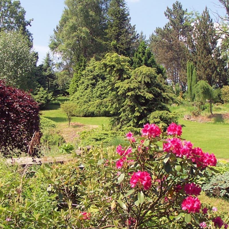 Fritscheho arboretum